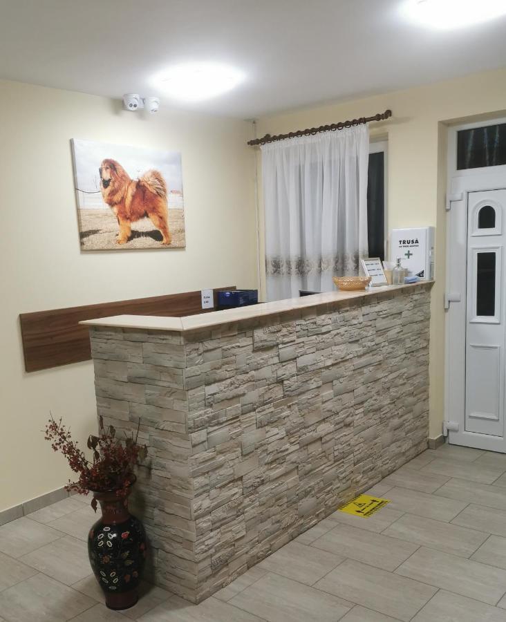 Hotel Thor Si Cora Sovata Exteriér fotografie