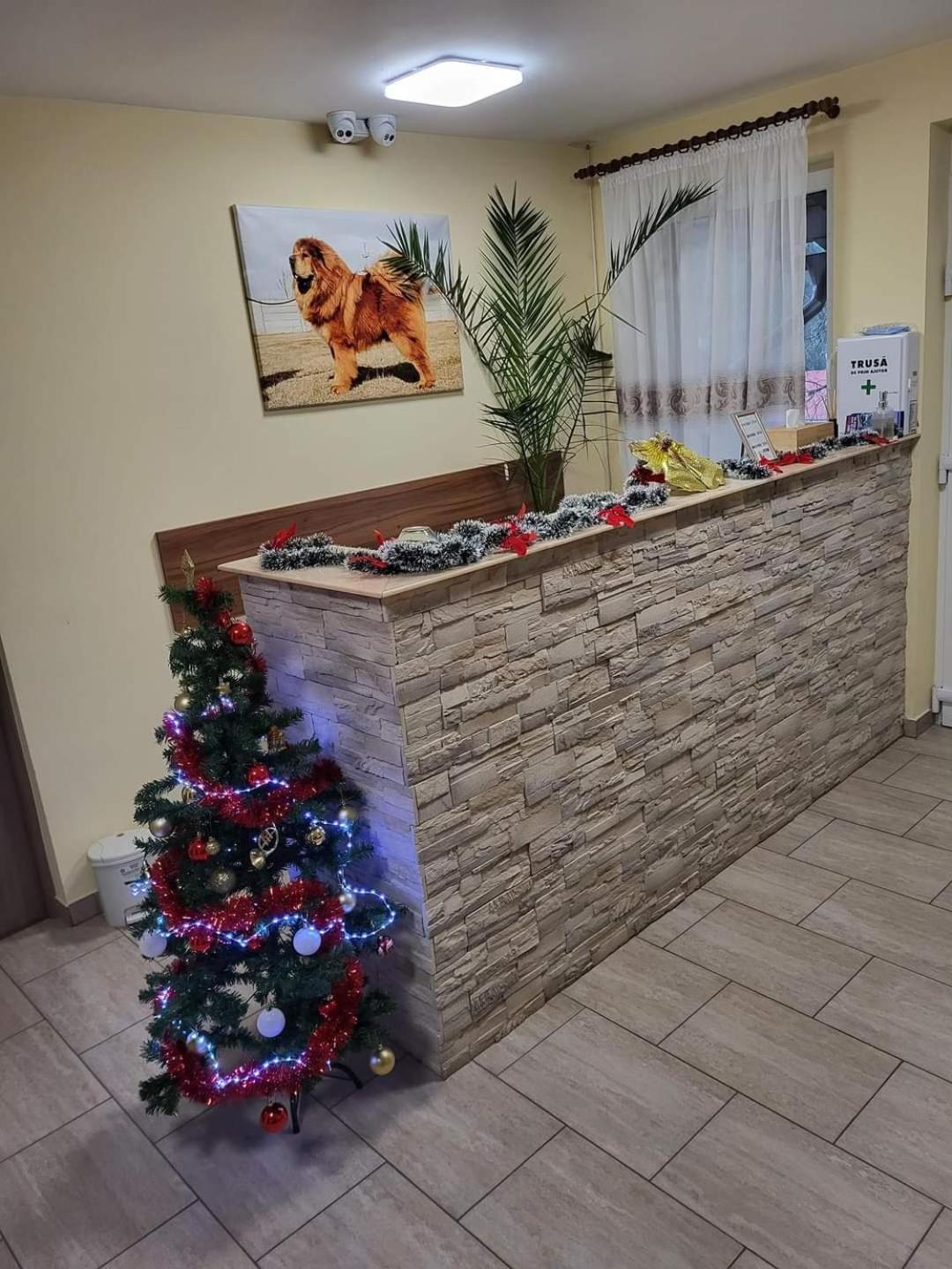 Hotel Thor Si Cora Sovata Exteriér fotografie