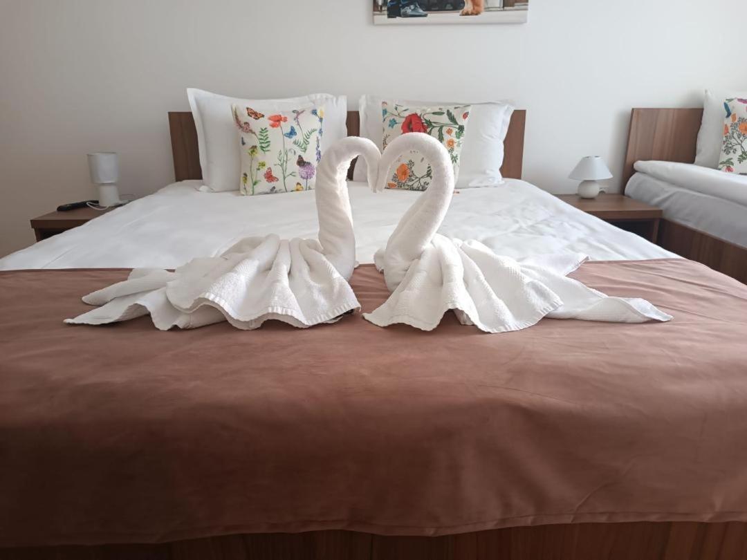 Hotel Thor Si Cora Sovata Exteriér fotografie