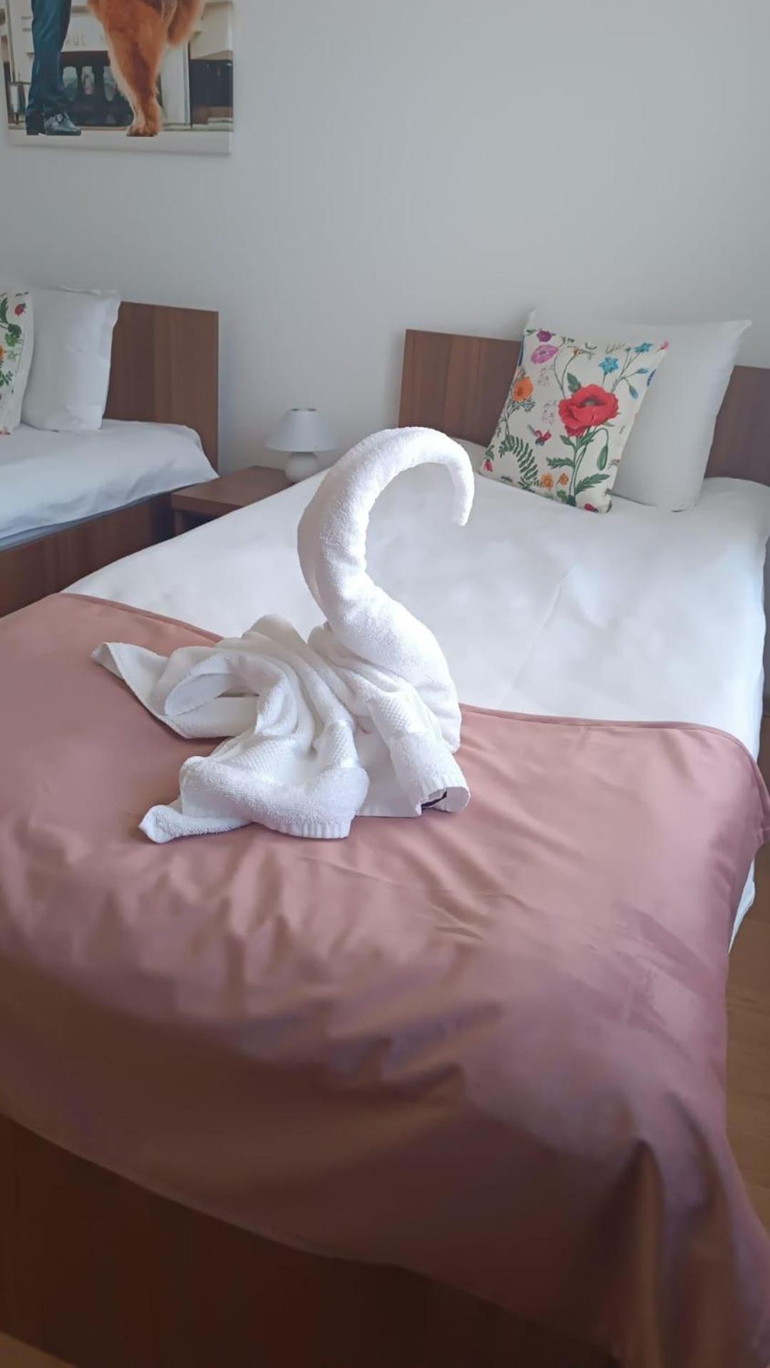 Hotel Thor Si Cora Sovata Exteriér fotografie