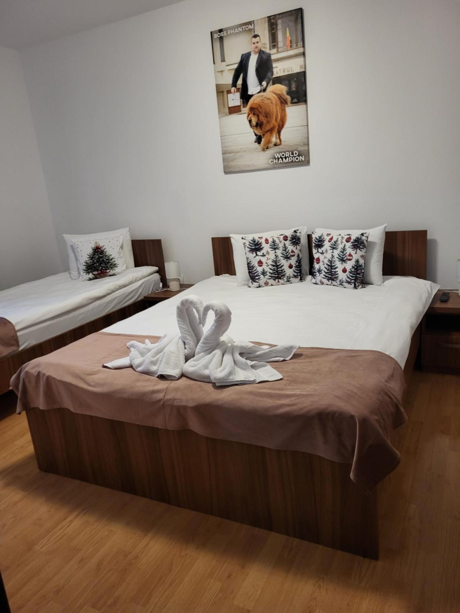 Hotel Thor Si Cora Sovata Exteriér fotografie