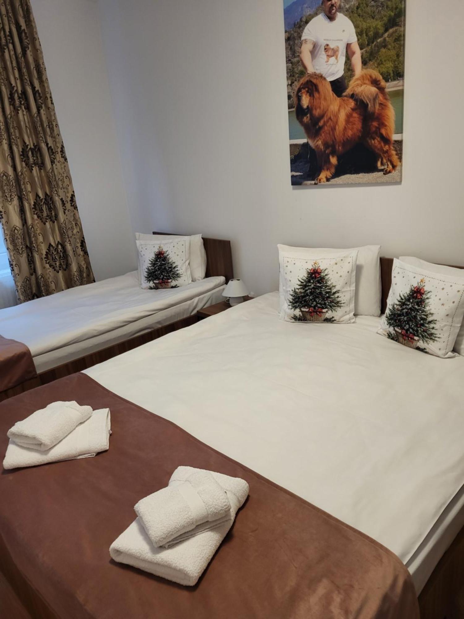 Hotel Thor Si Cora Sovata Exteriér fotografie