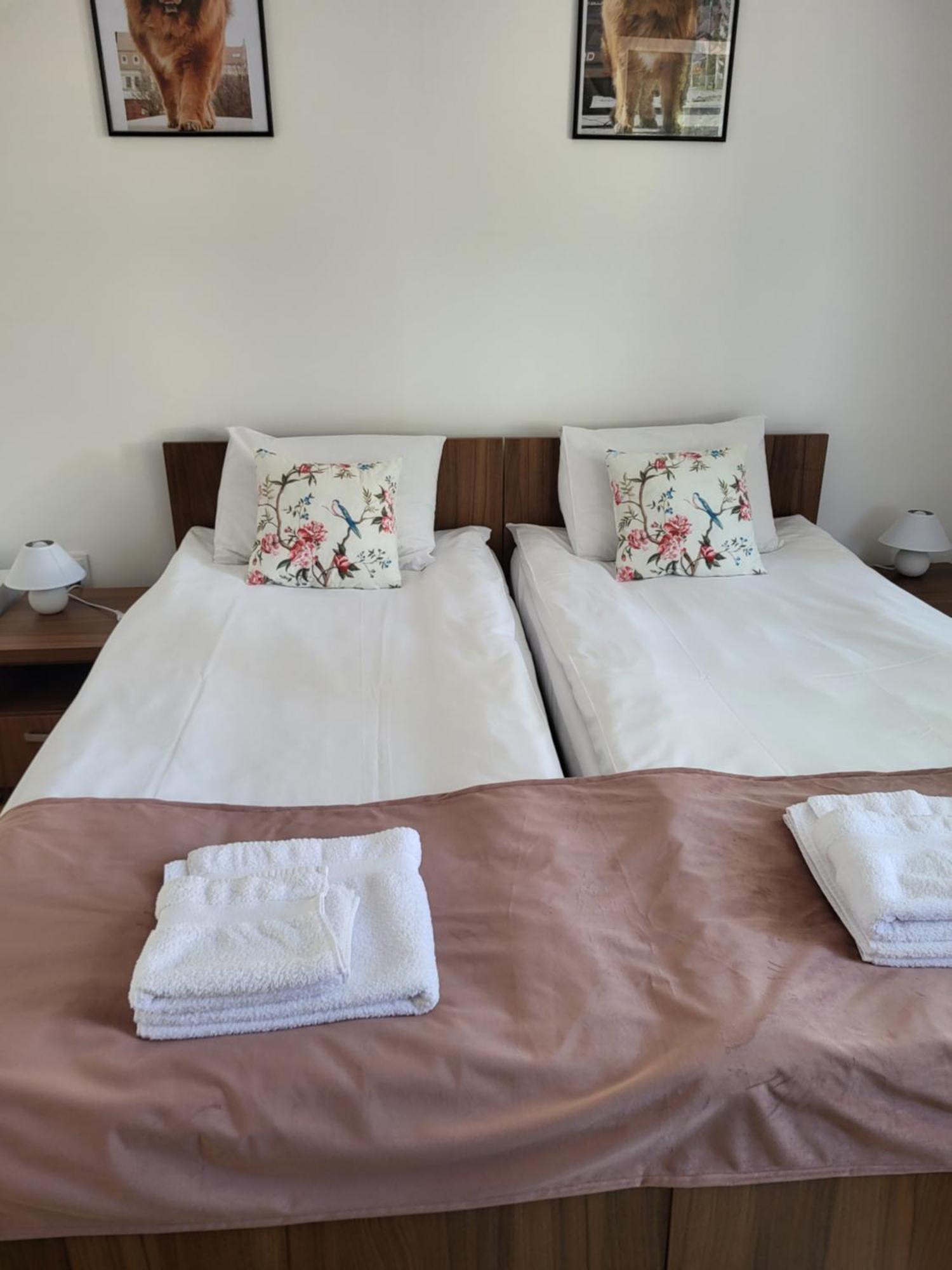 Hotel Thor Si Cora Sovata Exteriér fotografie