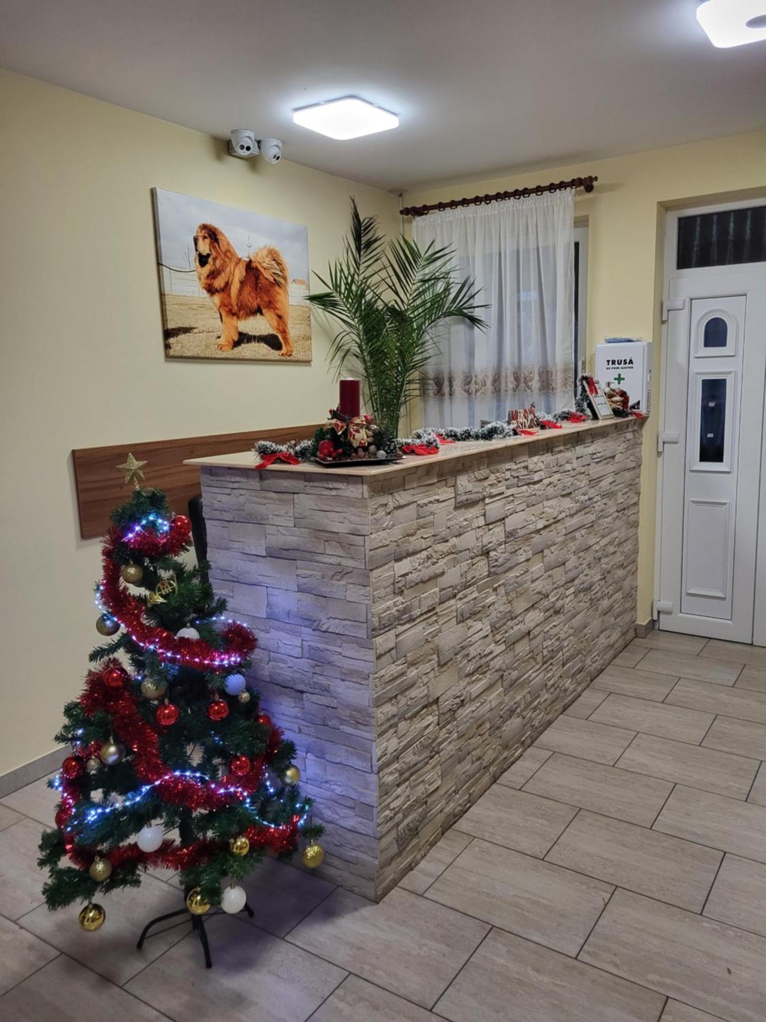 Hotel Thor Si Cora Sovata Exteriér fotografie