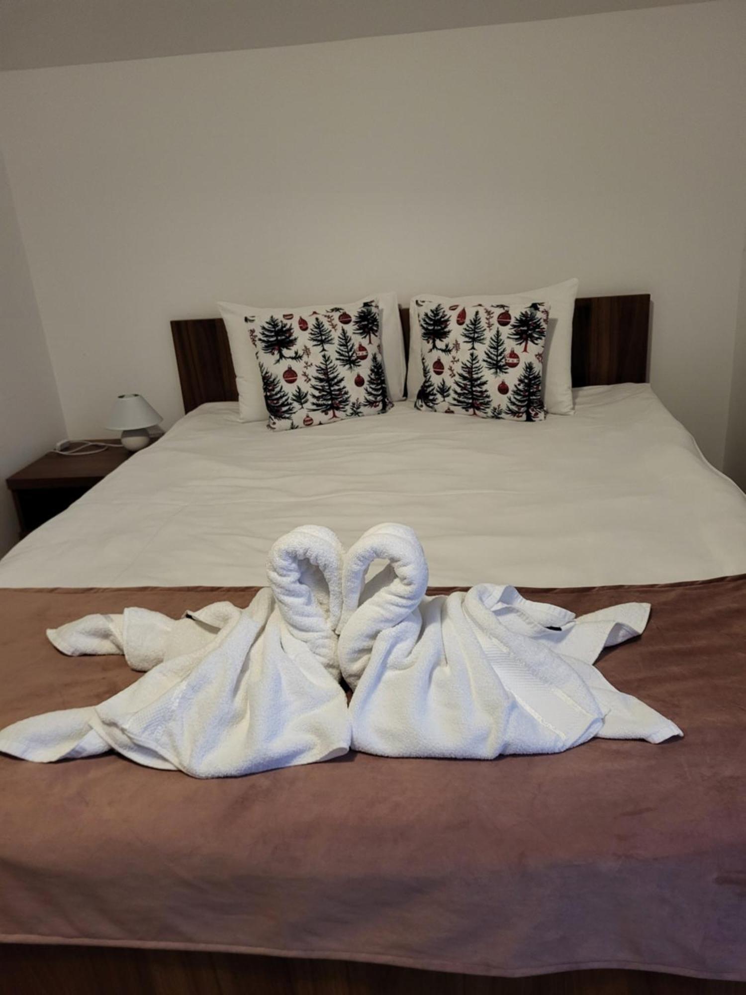 Hotel Thor Si Cora Sovata Exteriér fotografie